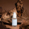 Caffeine Gel Booster